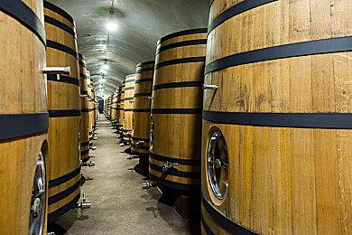 《自行车修理模拟2023》上线Steam页面 支持简中